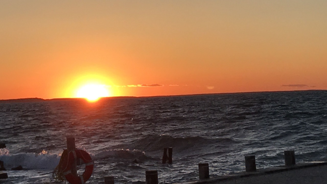 Photo of Others in Clearwater Beach