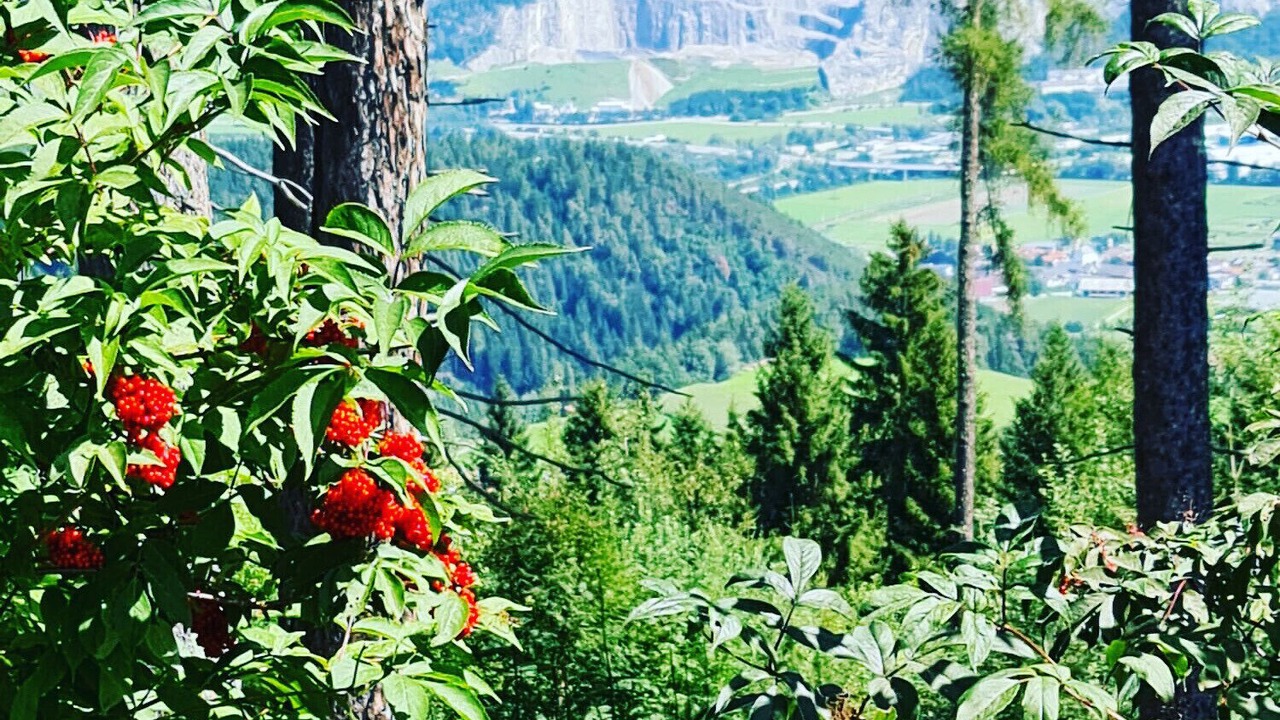 Photo of Outdoor in Oberperfuss