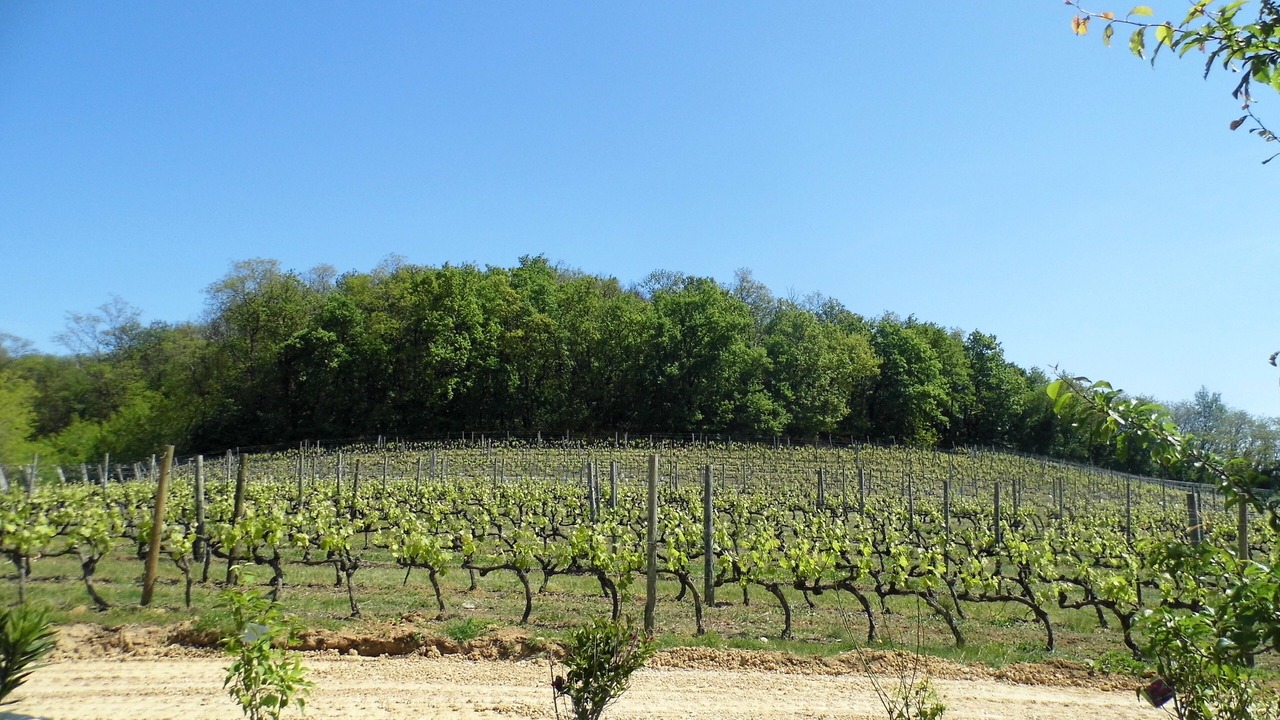 Photo of Outdoor in Mercurol-Veaunes