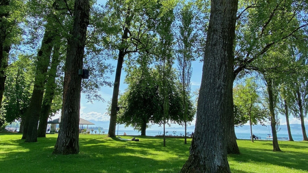 Photo of Outdoor in Kressbronn