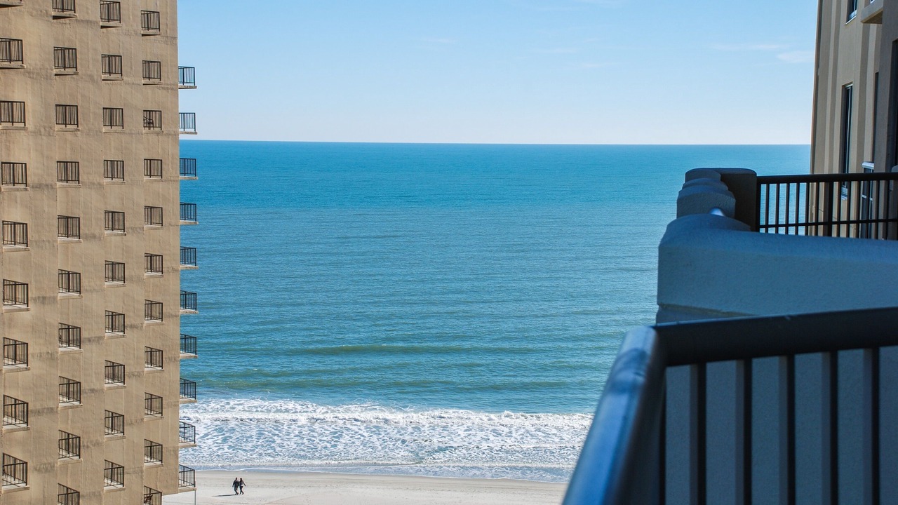 Photo of Others in Arcadian Shores