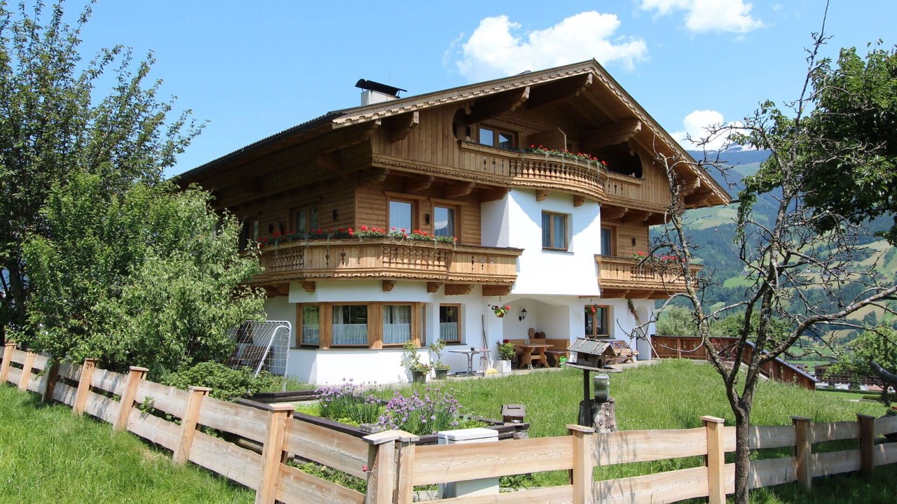 Photo of Others in Kapfing