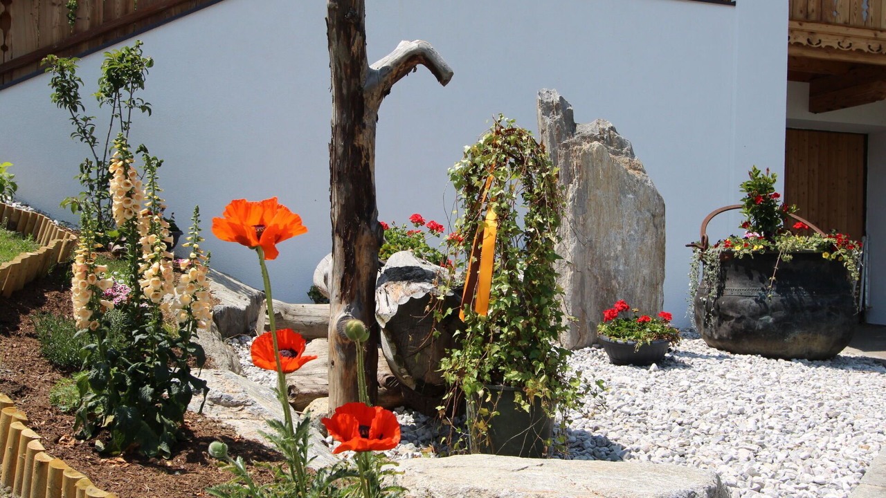 Photo of Outdoor in Kapfing