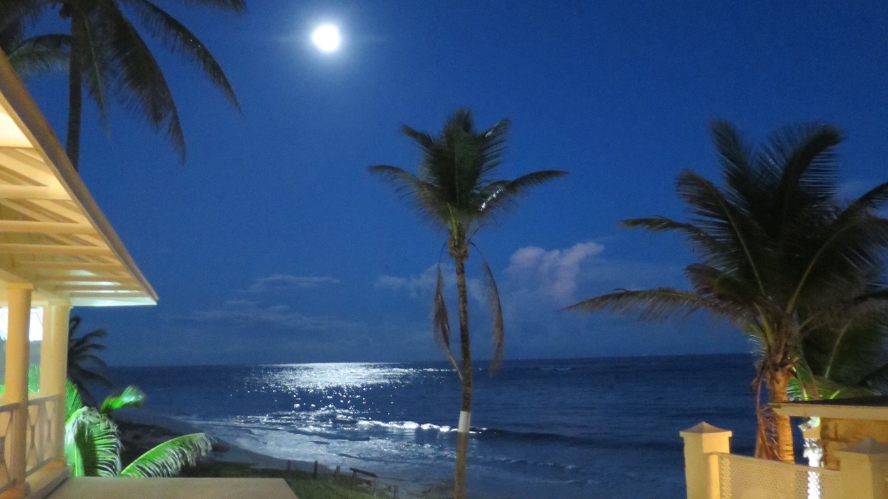 Photo of Outdoor in Silver Sands