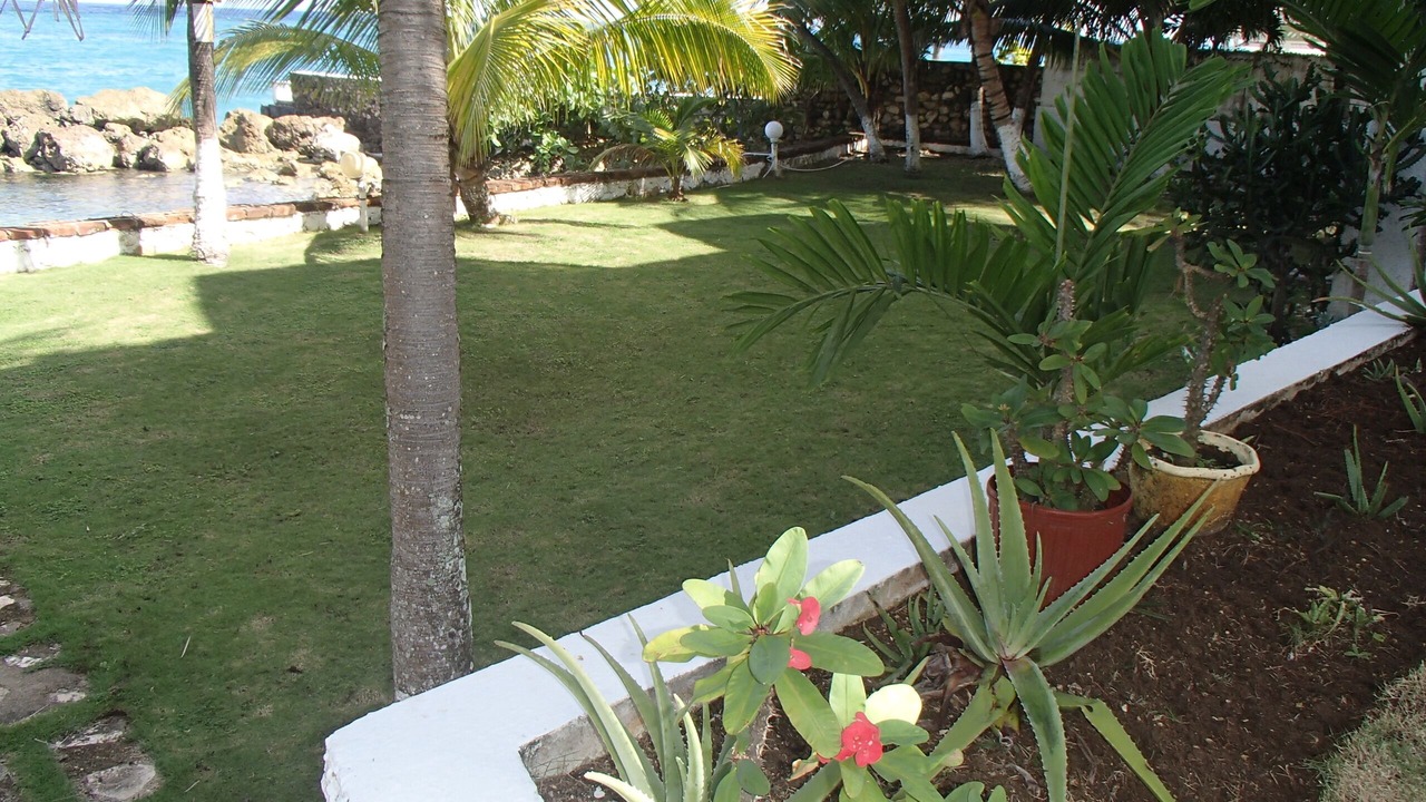 Photo of Outdoor in Tower Isle