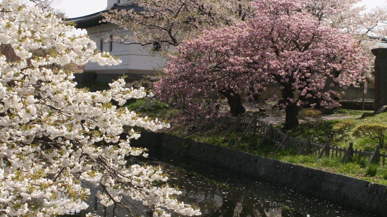 Photo of Others in Nanae-cho
