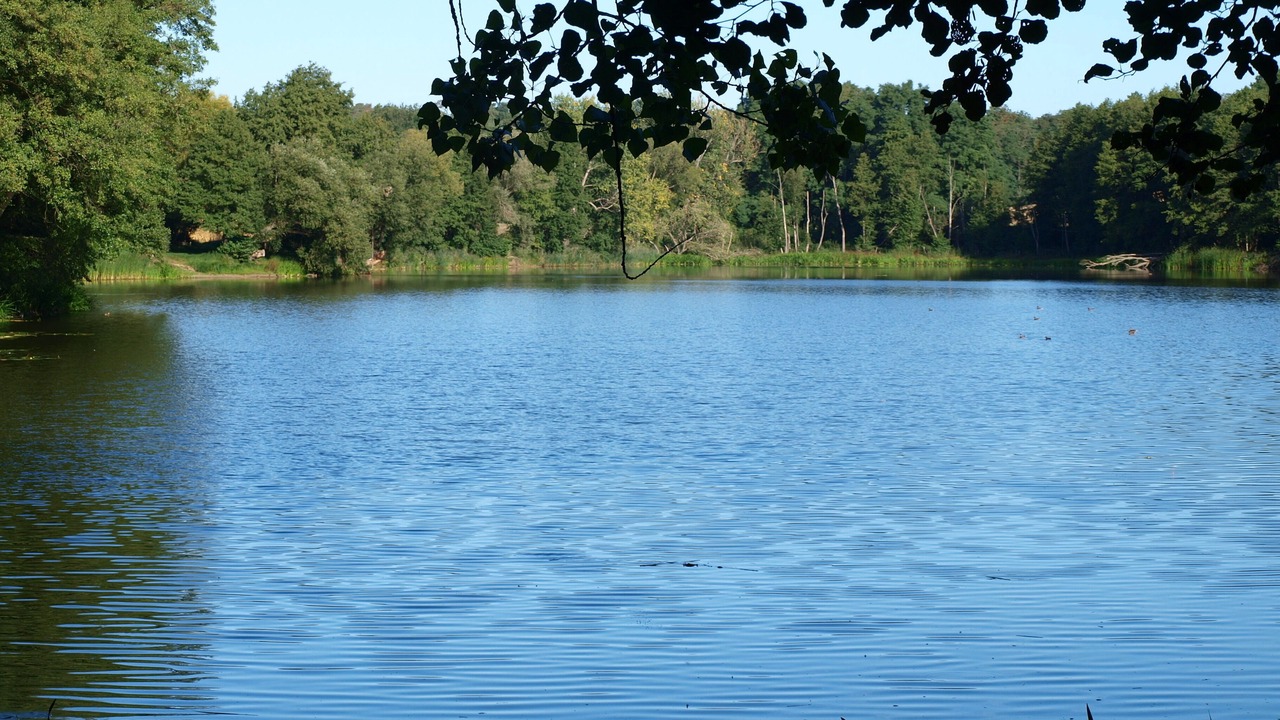 Photo of Outdoor in Vierlinden