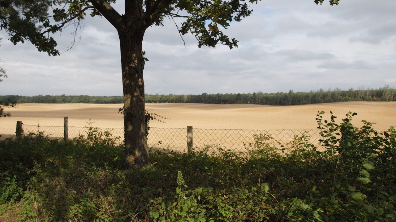Photo of Others in Vierlinden