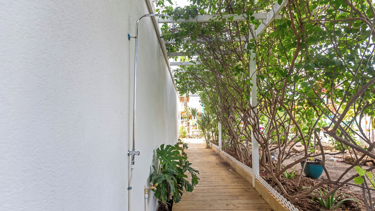 Photo of Outdoor in Maho