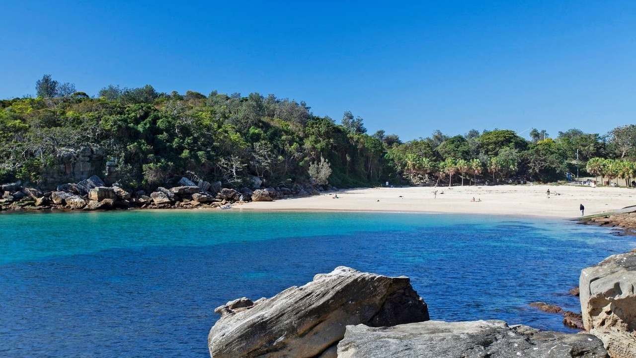 Photo of Others in Manly