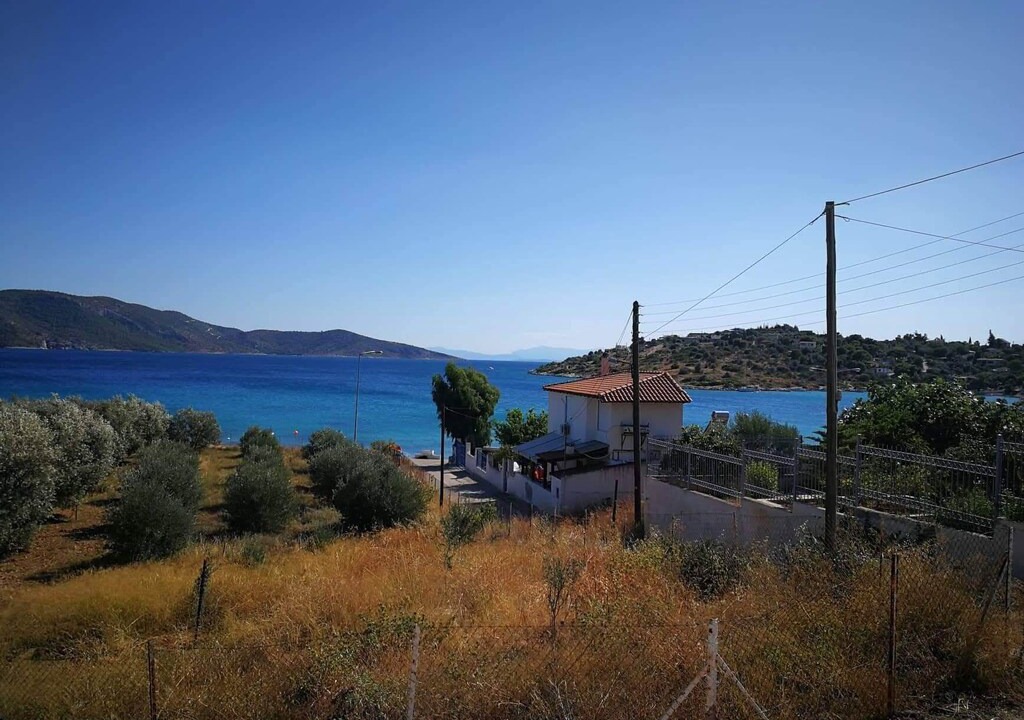 Photo of Others in Salamis