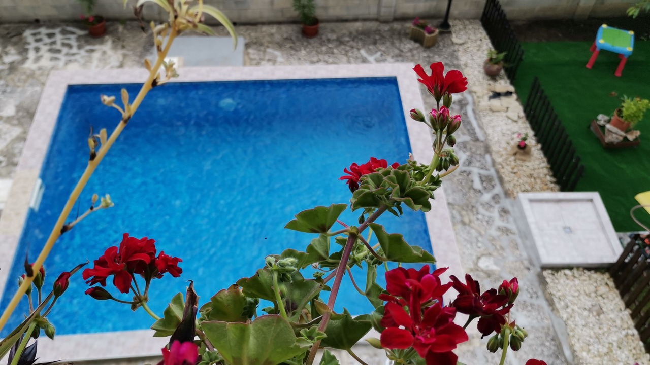 Photo of Outdoor in Balchik