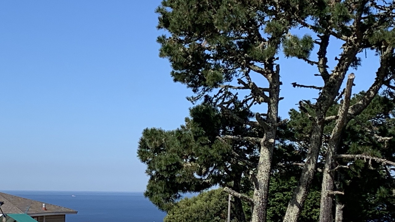 Photo of Outdoor in Pacifica