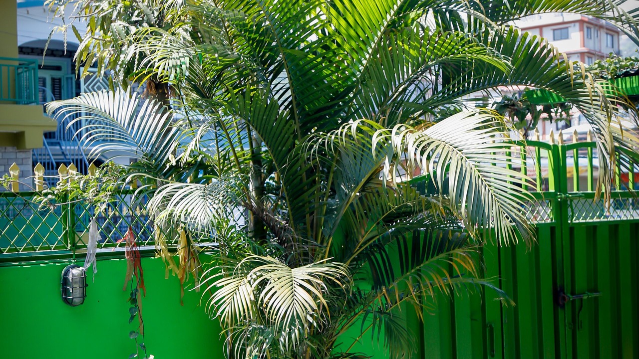 Photo of Outdoor in Pokhara