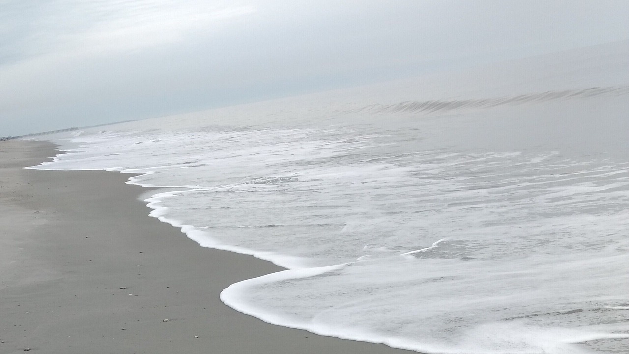 Photo of Others in Pawleys Island