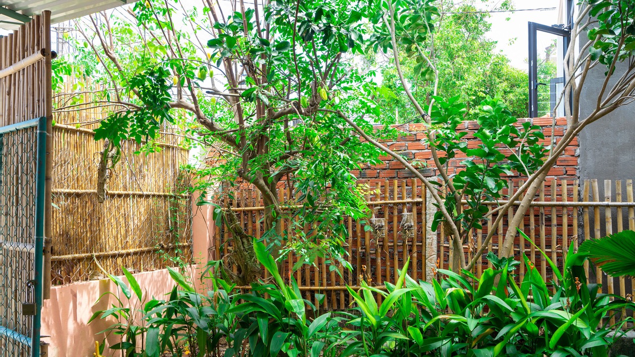 Photo of Outdoor in Cam Pho