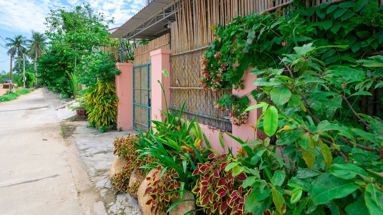 Photo of Outdoor in Cam Pho