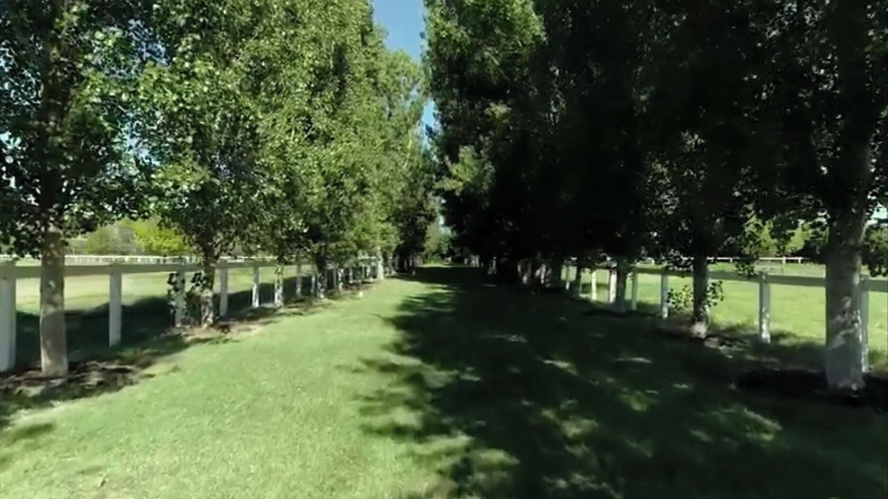 Photo of Outdoor in East Tamworth