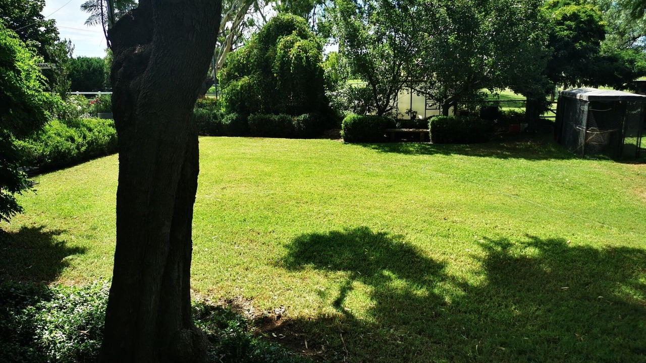 Photo of Outdoor in East Tamworth
