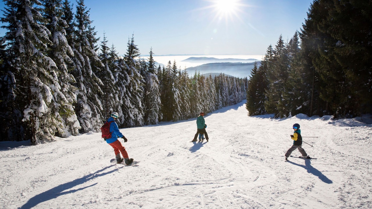 Photo of Others in Hinterzarten