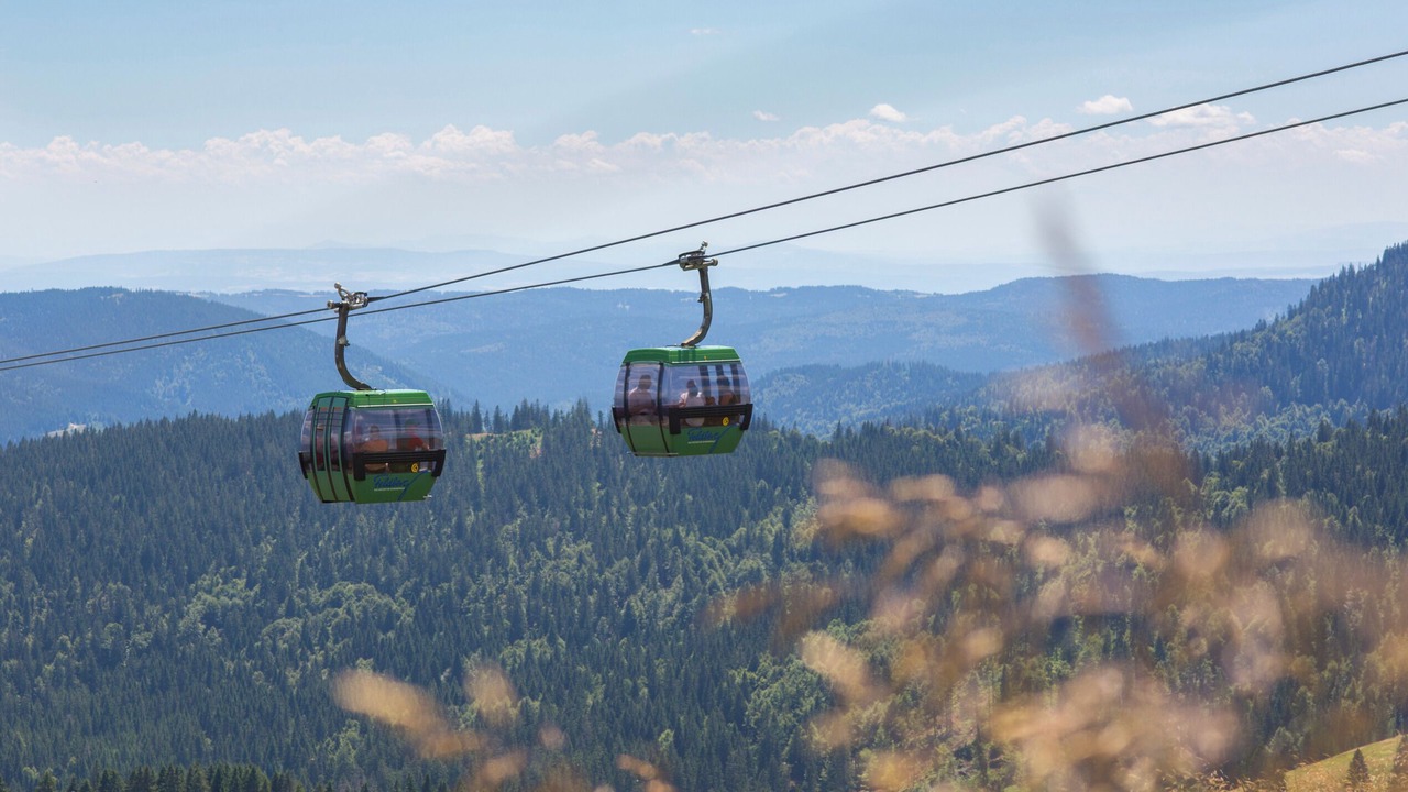 Photo of Others in Hinterzarten