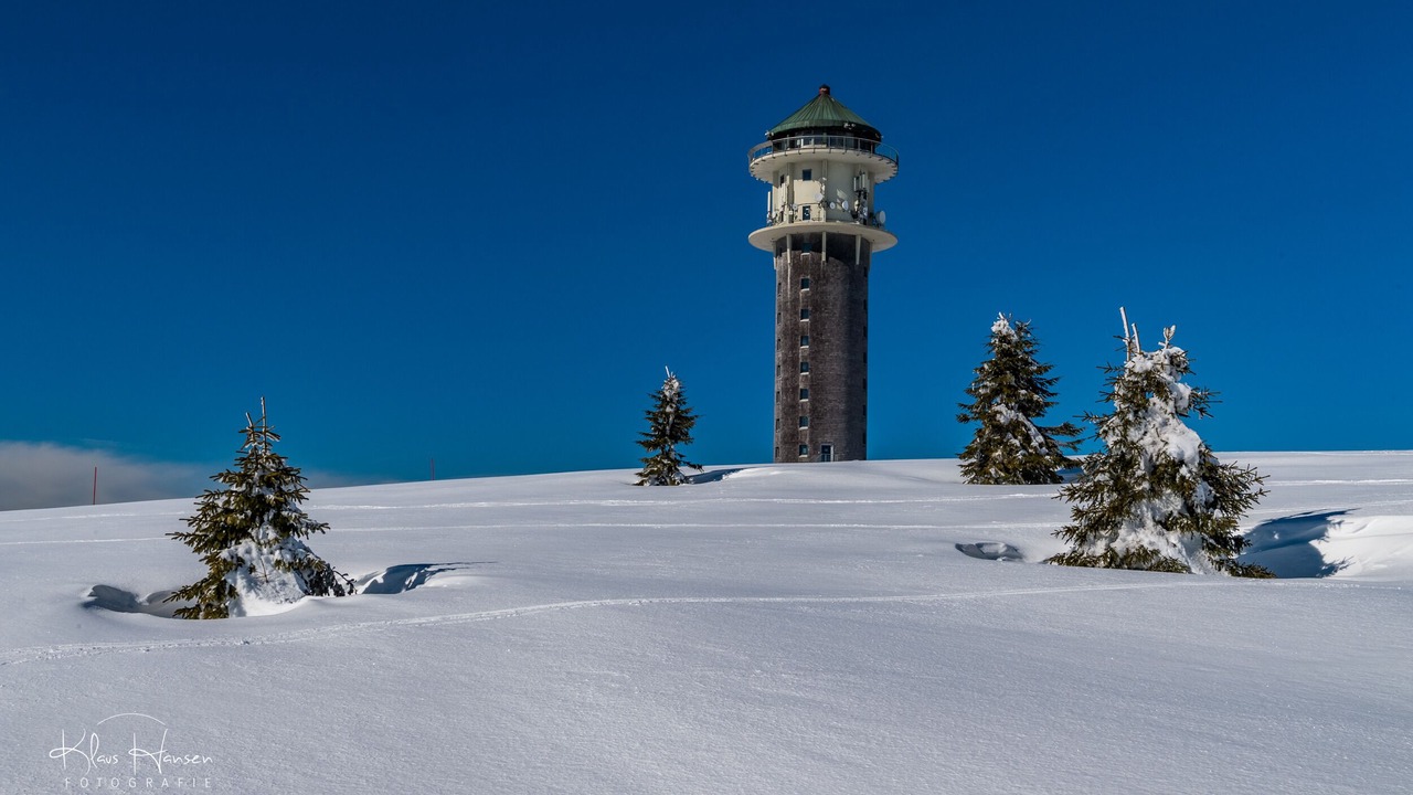 Photo of Others in Hinterzarten