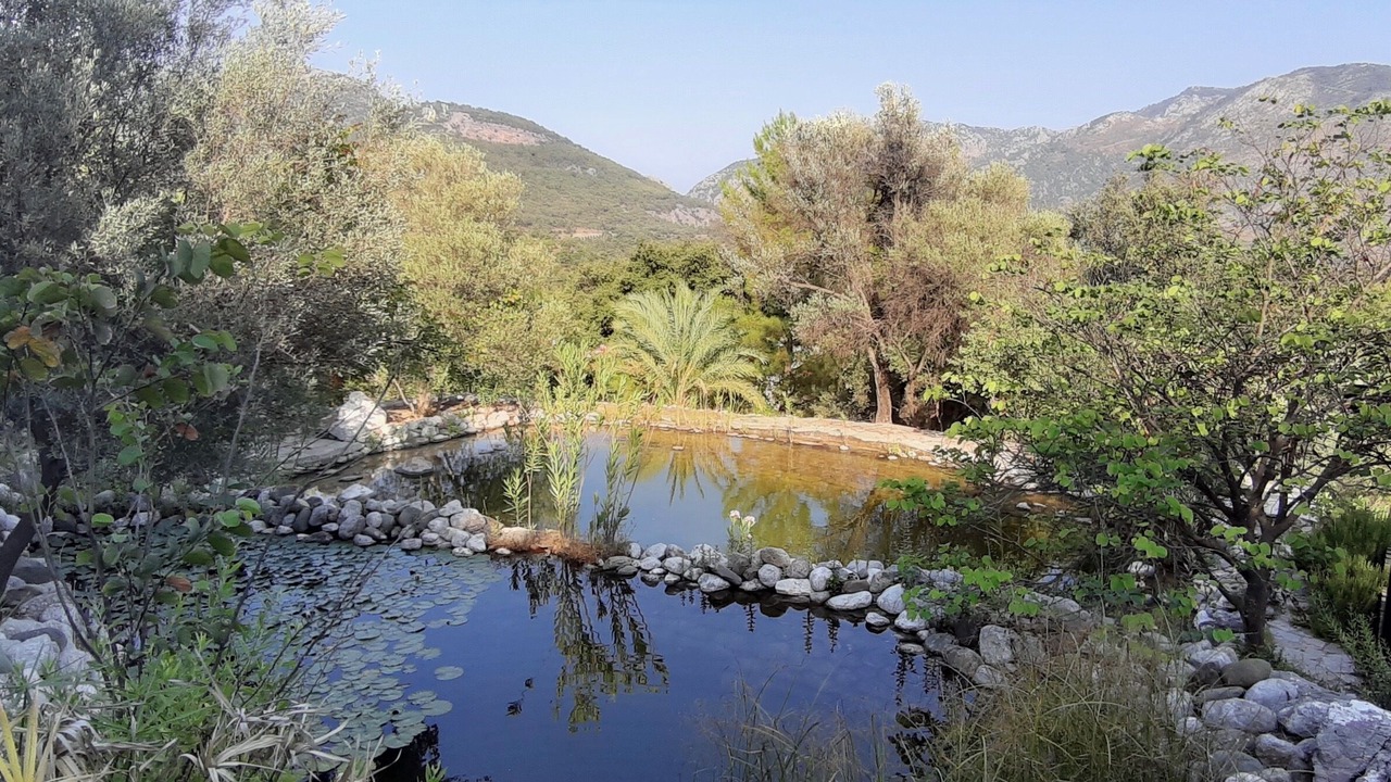 Photo of Outdoor in Olympos