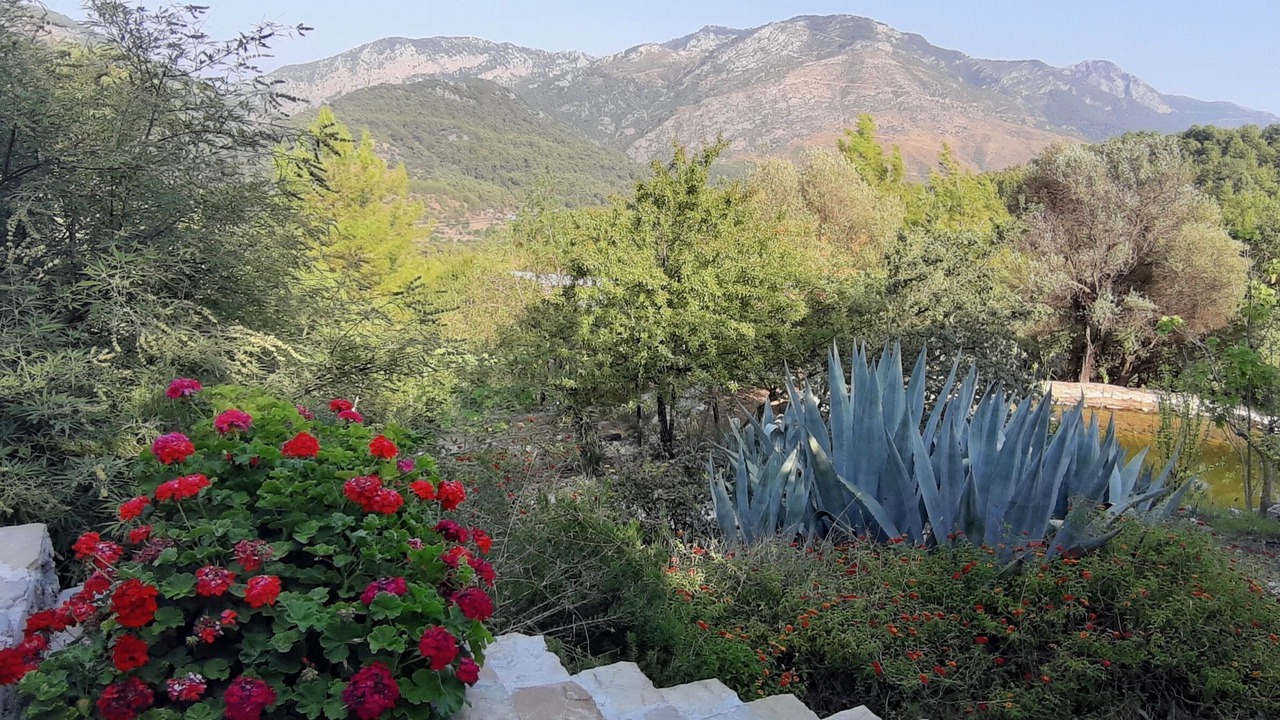 Photo of Outdoor in Olympos