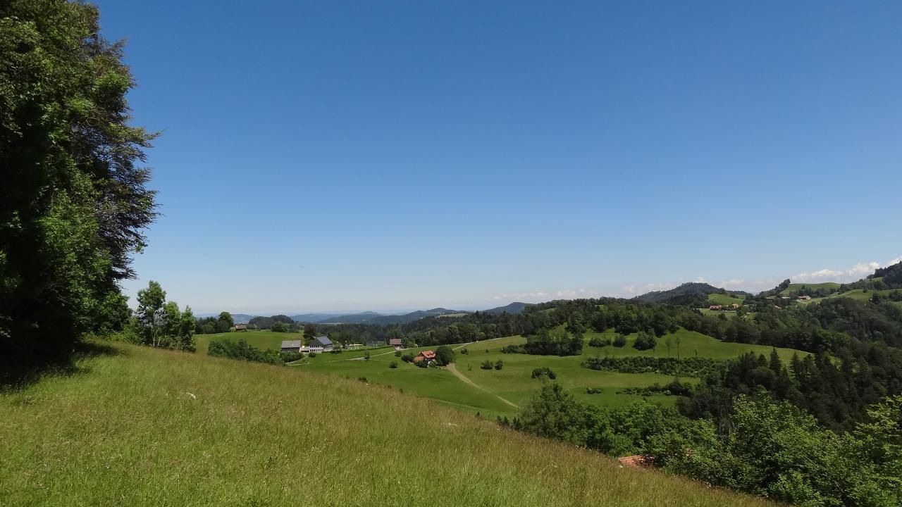 Photo of Others in Pfaffikon District