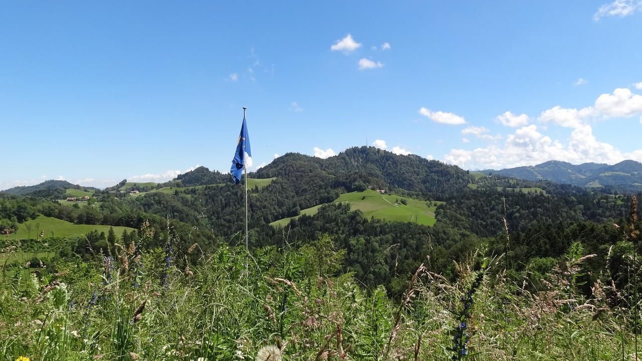 Photo of Others in Pfaffikon District