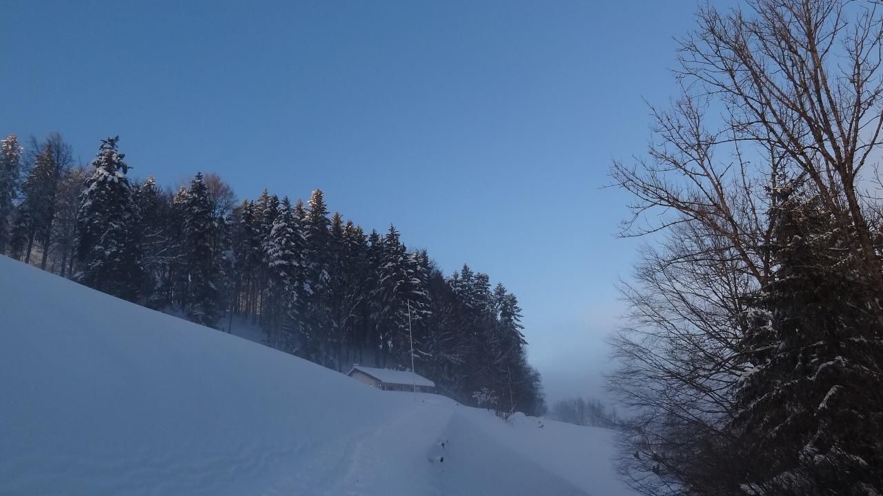 Photo of Others in Pfaffikon District