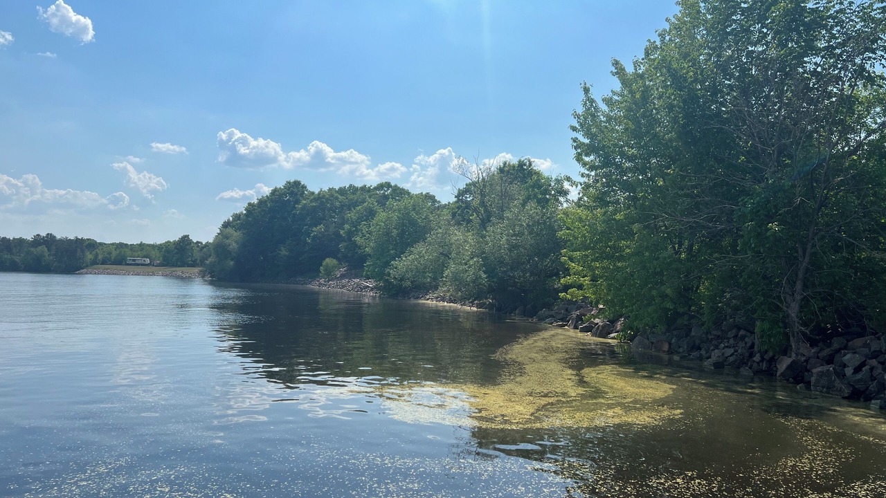 Photo of Others in Babcock