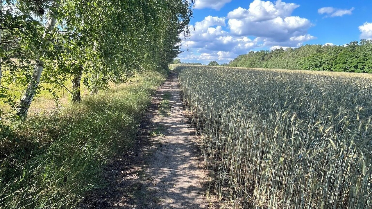 Photo of Others in Bestensee Nord