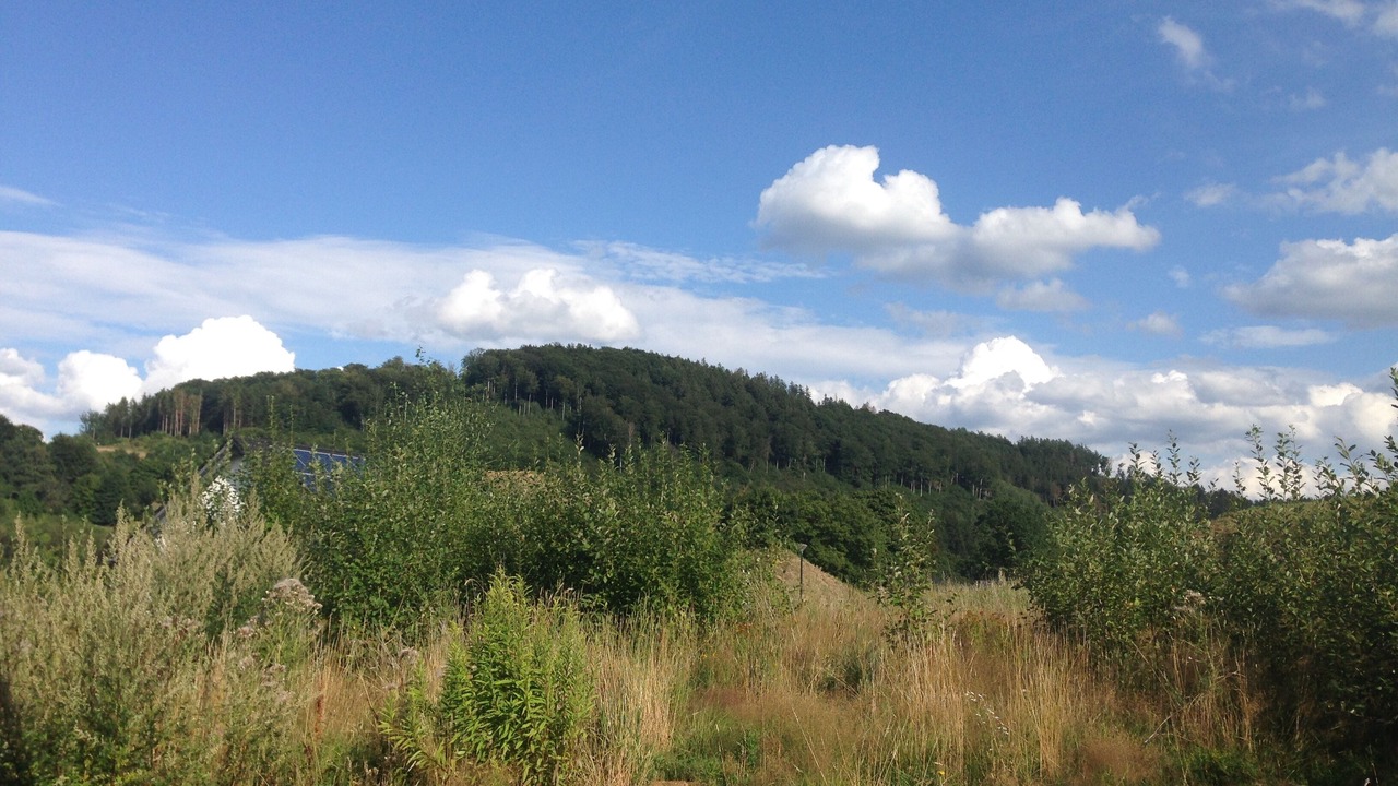 Photo of Outdoor in Nuttlar