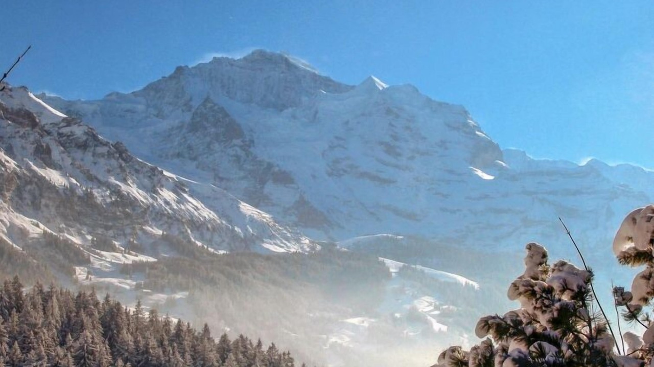Photo of Others in Wengen