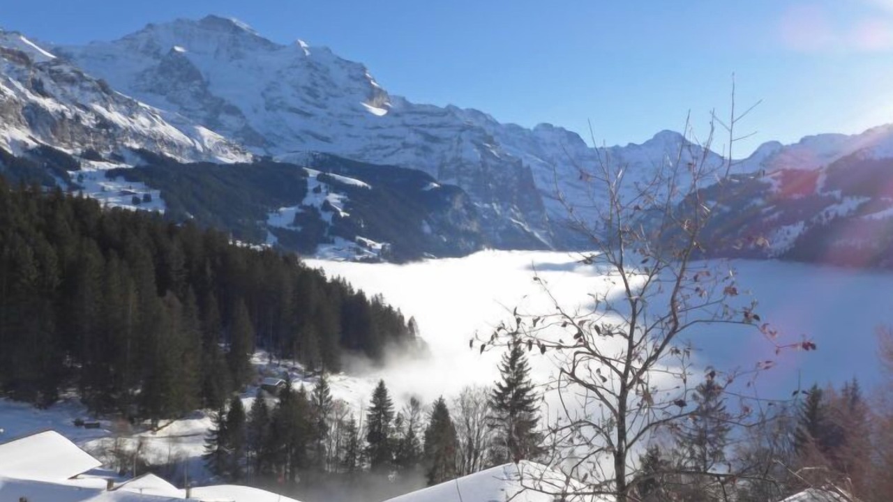 Photo of Others in Wengen