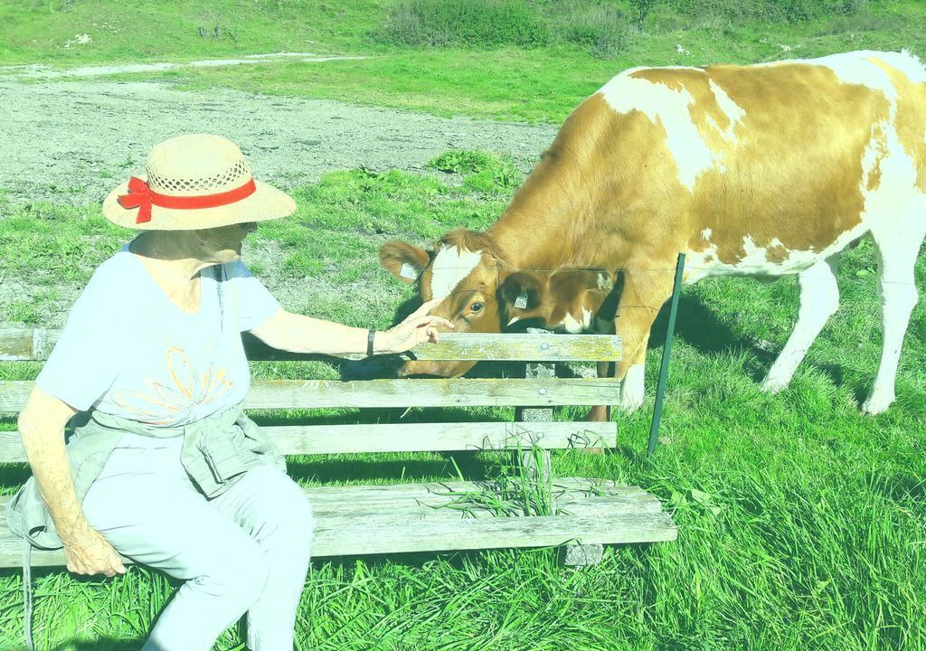 Photo of Others in Radstadt