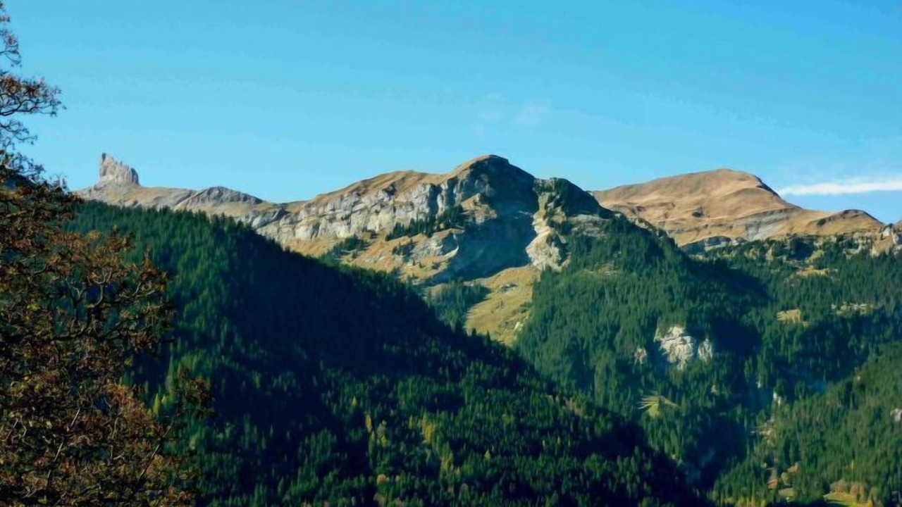 Photo of Others in Wengen