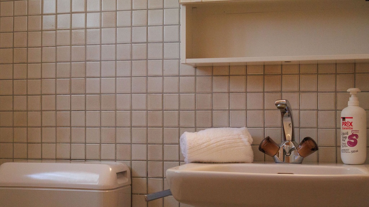 Photo of Bathroom in Zinal