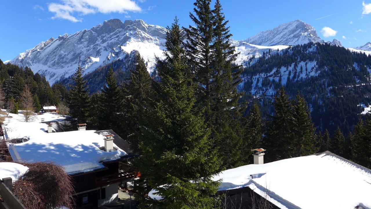 Photo of Others in Alpe des Chaux