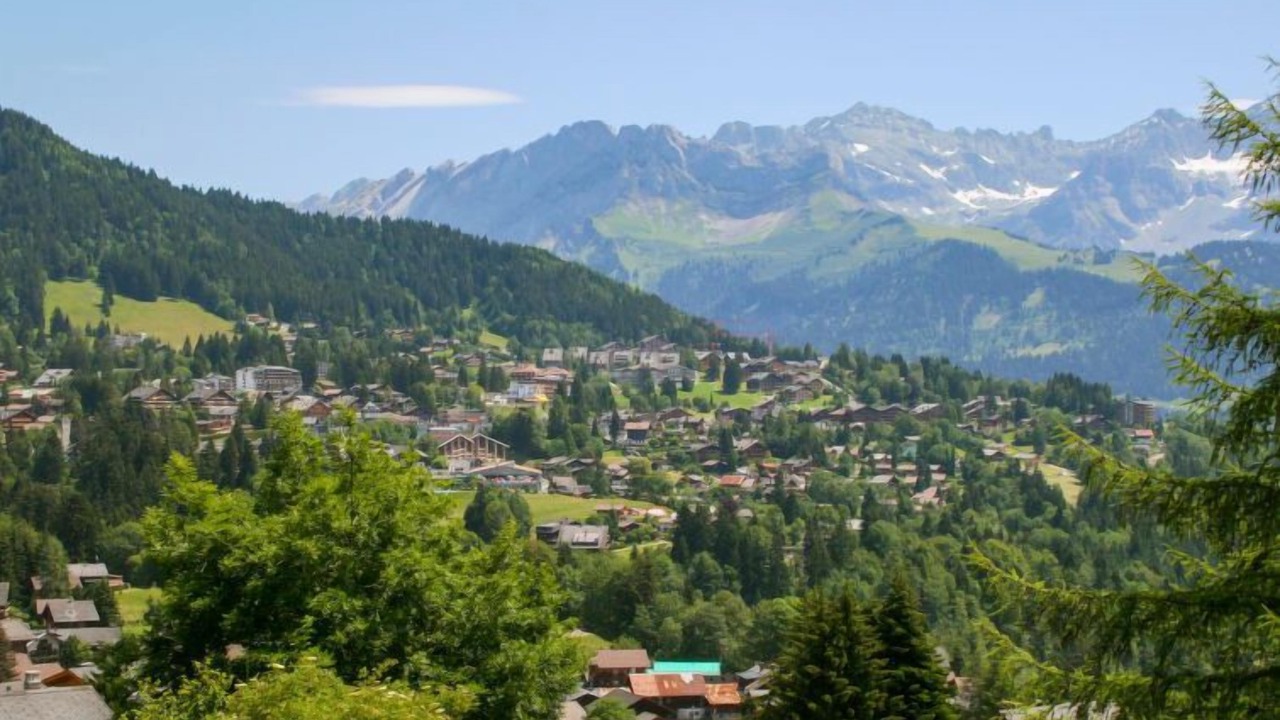 Photo of Others in Chesieres