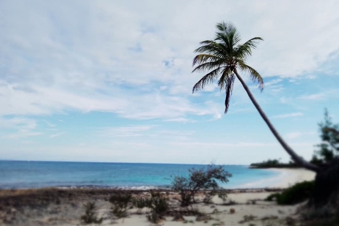 Photo of Others in Green Turtle Cay