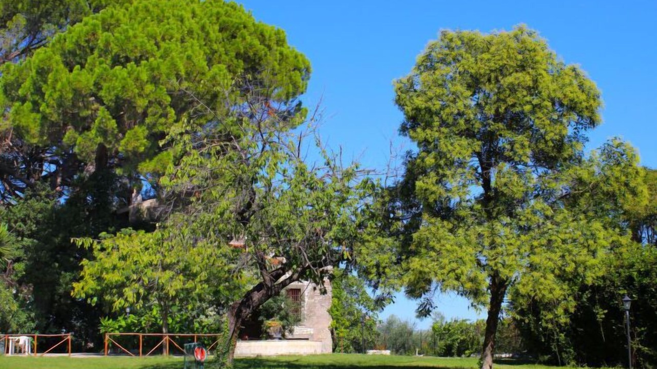 Photo of Others in Guidonia Montecelio