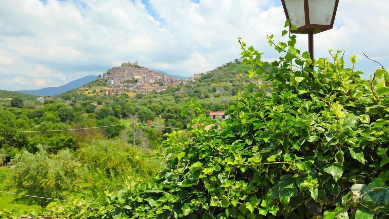 Photo of Others in Guidonia Montecelio