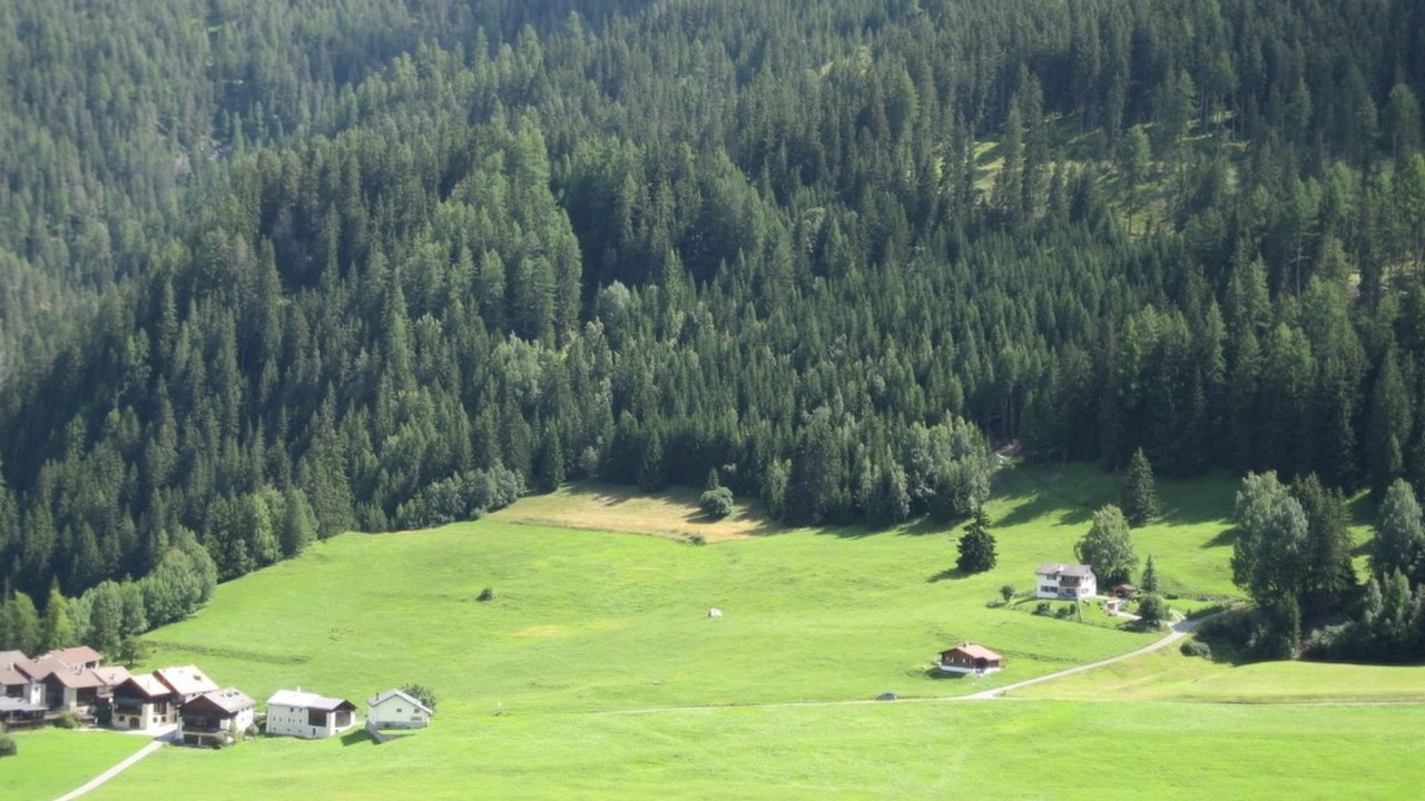 Photo of Others in Tarasp