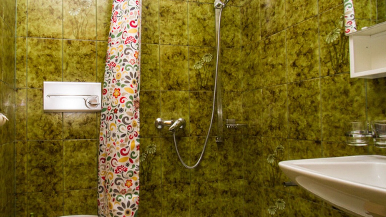 Photo of Bathroom in Ravaisch