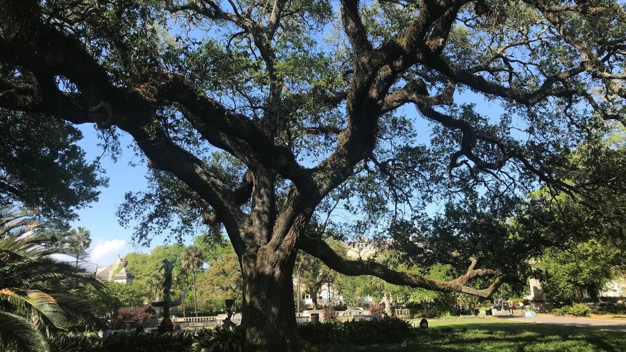 Photo of Outdoor in West Riverside