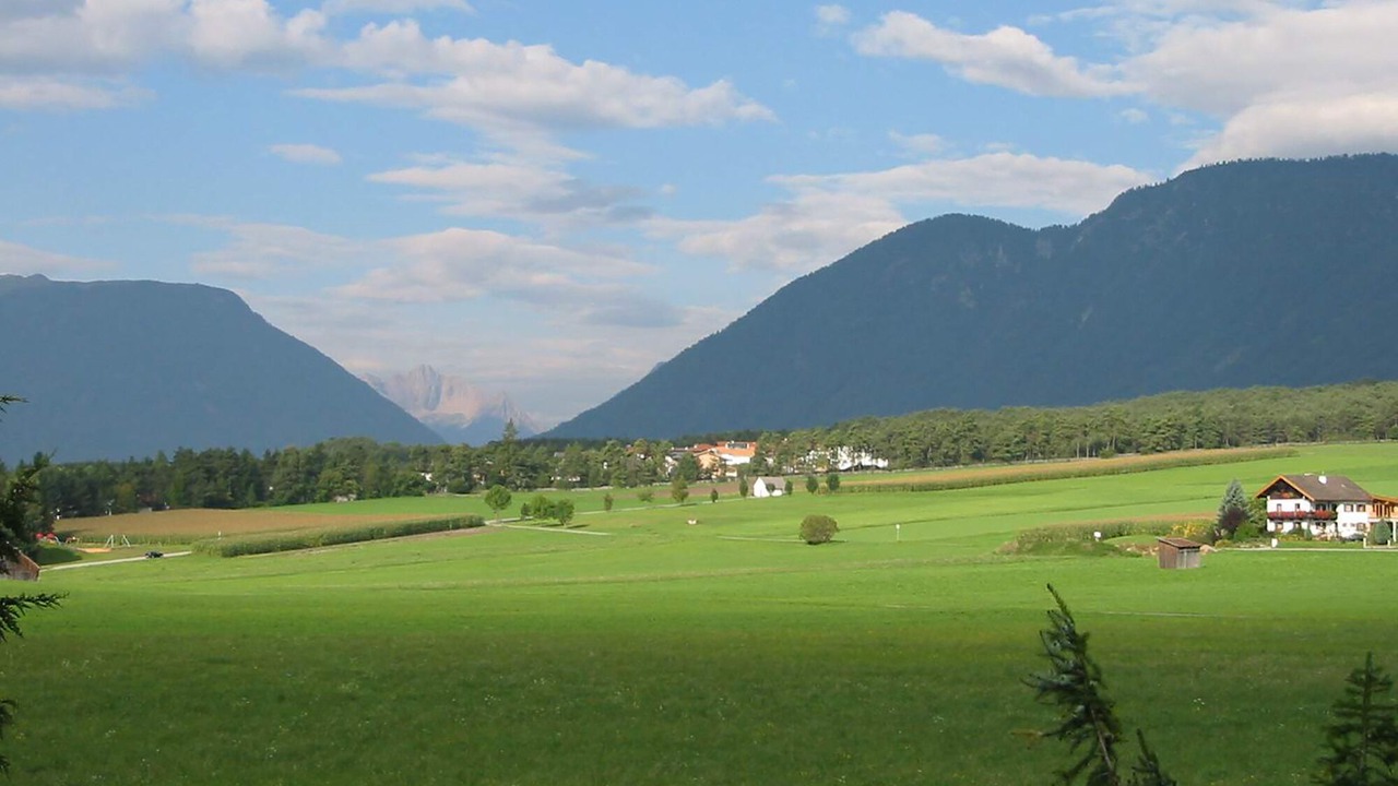 Photo of Others in Wildermieming