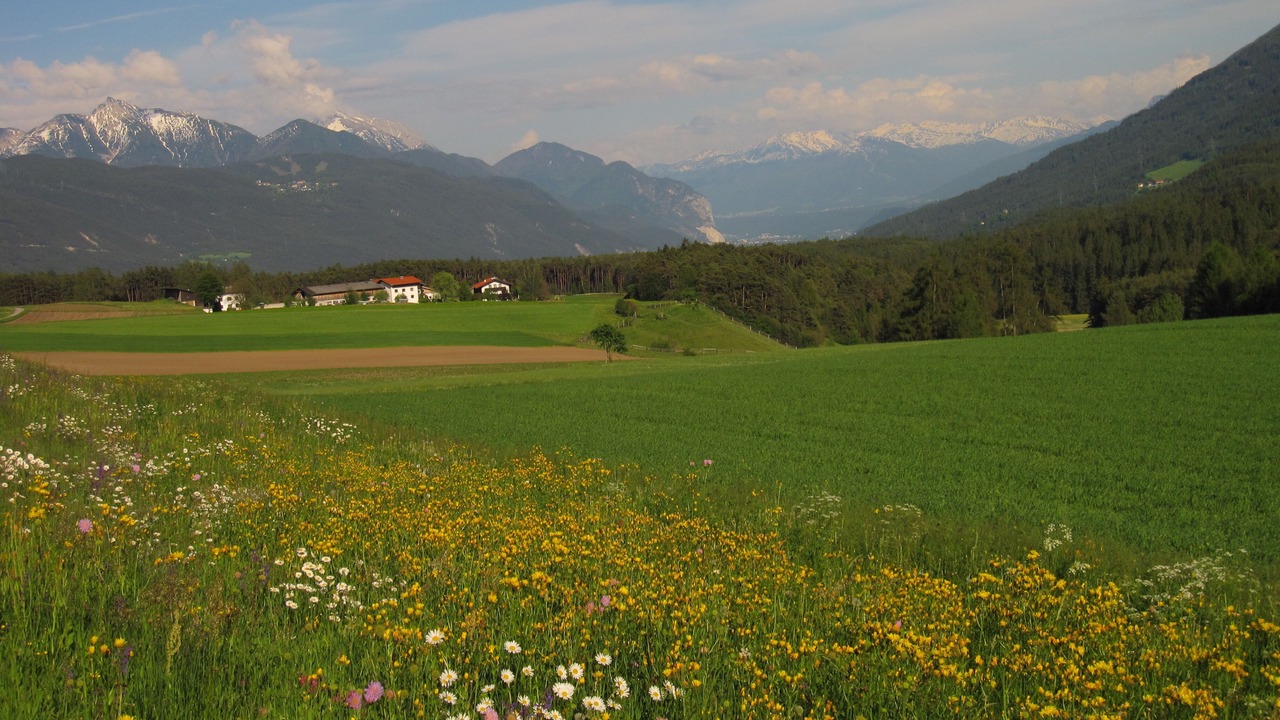 Photo of Others in Wildermieming