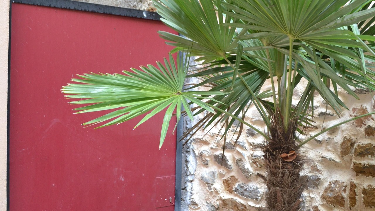 Photo of Outdoor in Gorge de Loup